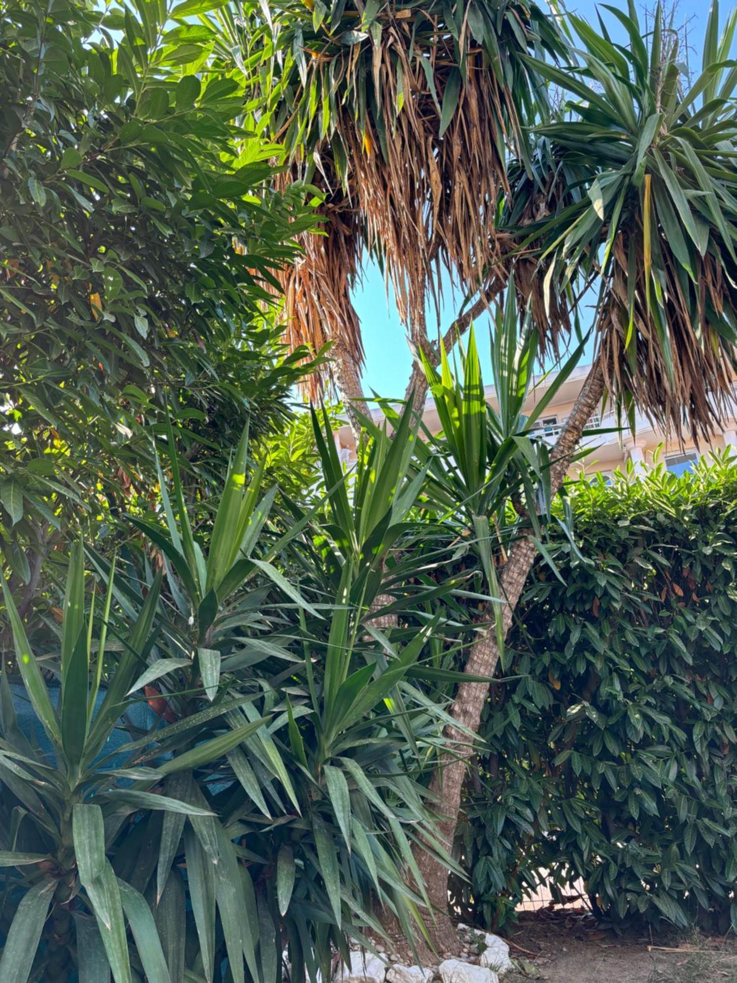 Beachside Apartment With Pool & Garden In Juan Les Pins Антиб Екстериор снимка